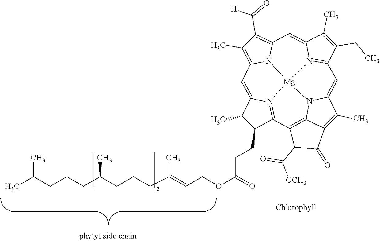 Method for preparing a colour-stable preparation of a magnesium chlorophyllin alkali metal salt or alkali earth metal salt from natural sources of chlorophyll