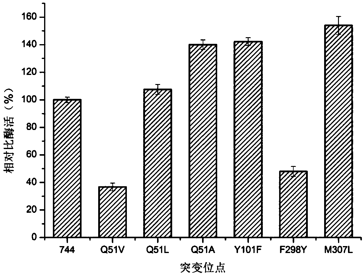 A d-lactate dehydrogenase mutant and its application