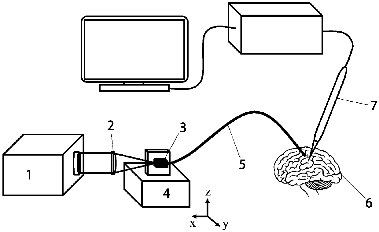 Cranial nerve stimulating device for enhancing cognitive function of brain