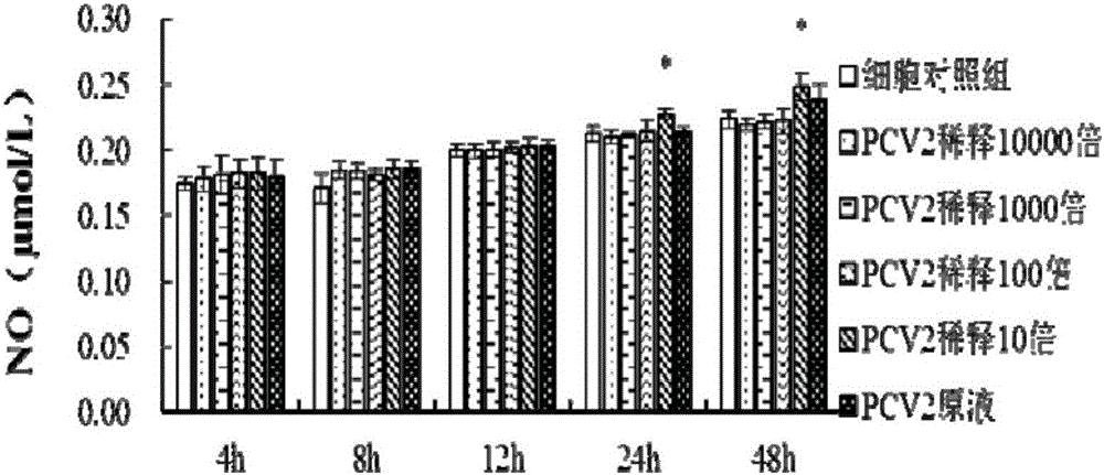 Building method of oxidation stress model of porcine circovirus 2 type in-vitro infection mouse mononuclear macrophages