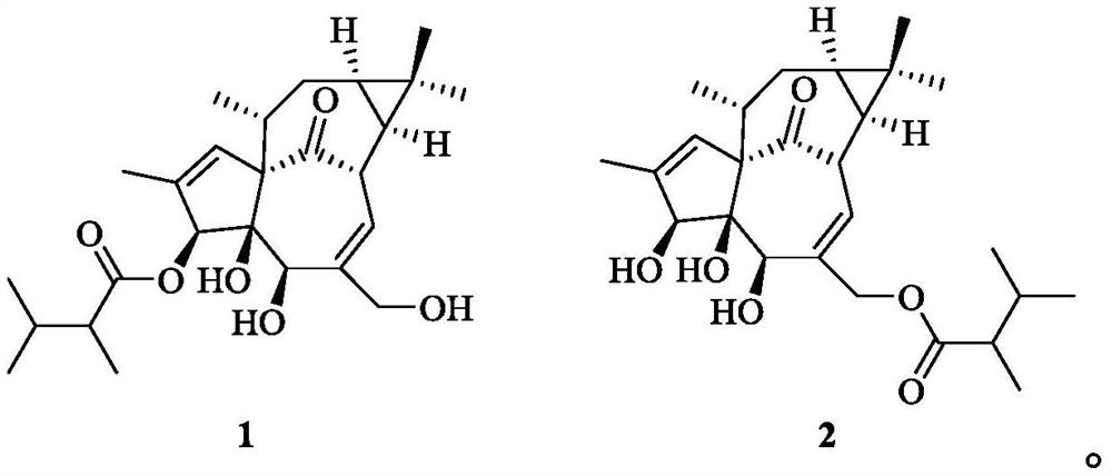 Kansuininol compounds as well as extraction method and application thereof