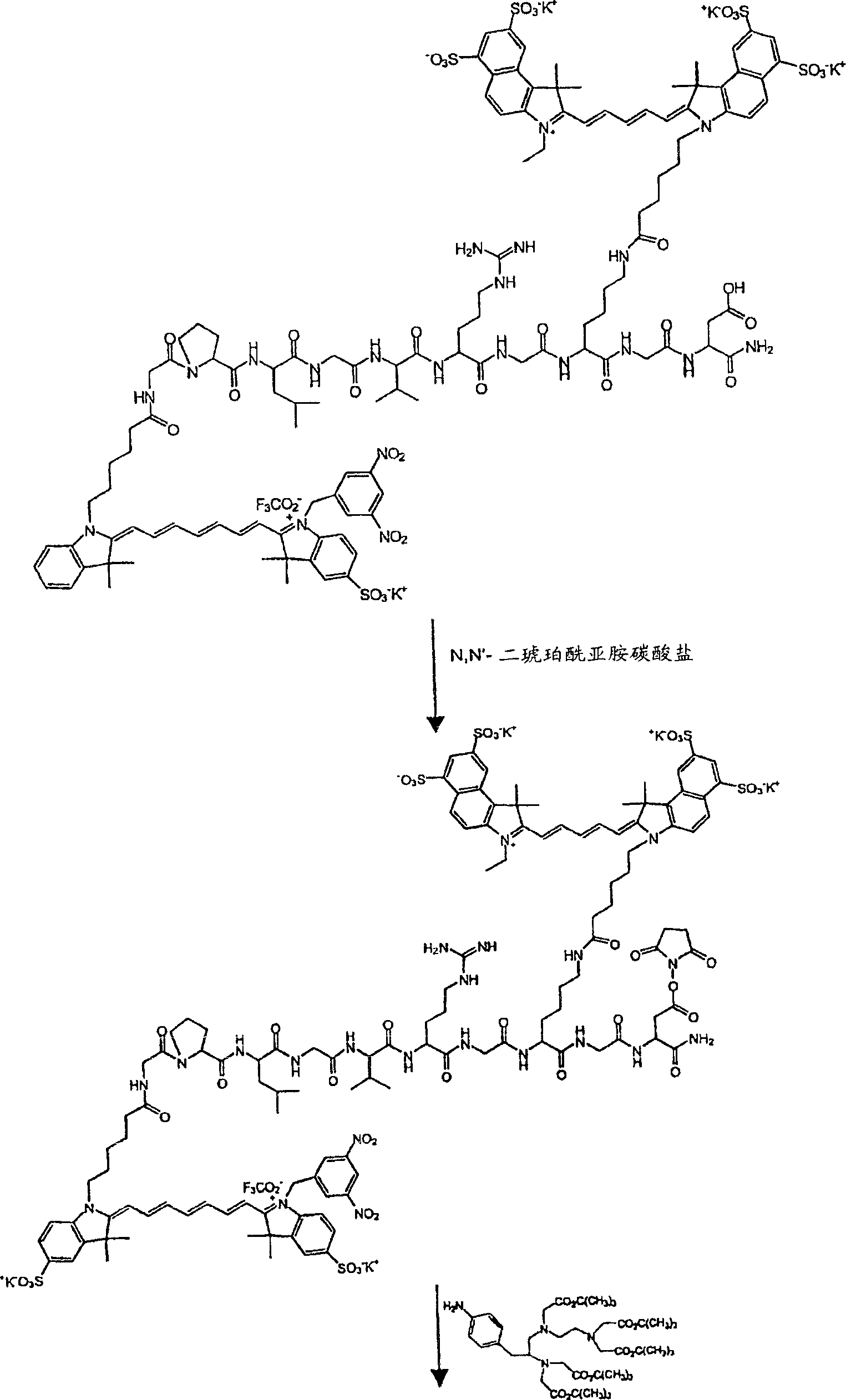 Bifunctional contrast agent comprising a fluorescent dye and an MRI contrast agent