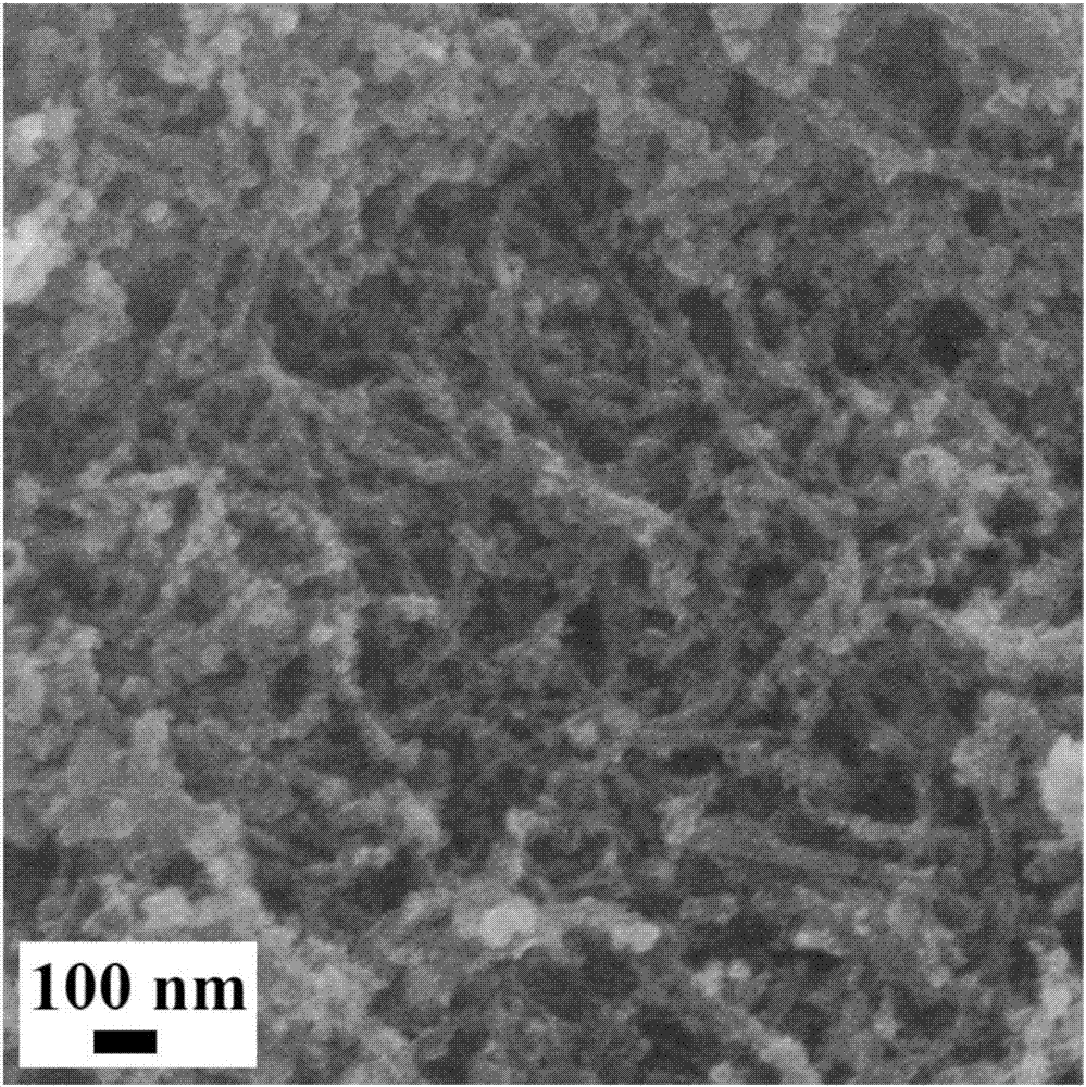 Carbon material-supported copper-cobalt bimetallic sulfide composite material and its preparation method and application in waste water treatment