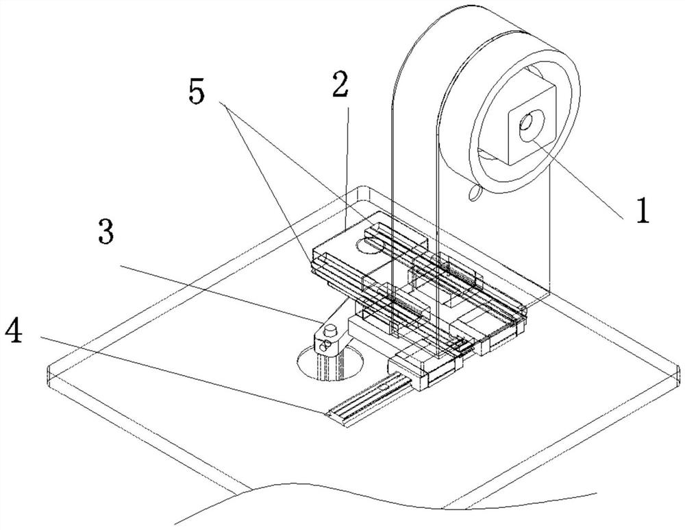 An adjustable iris 3D information acquisition and measurement device