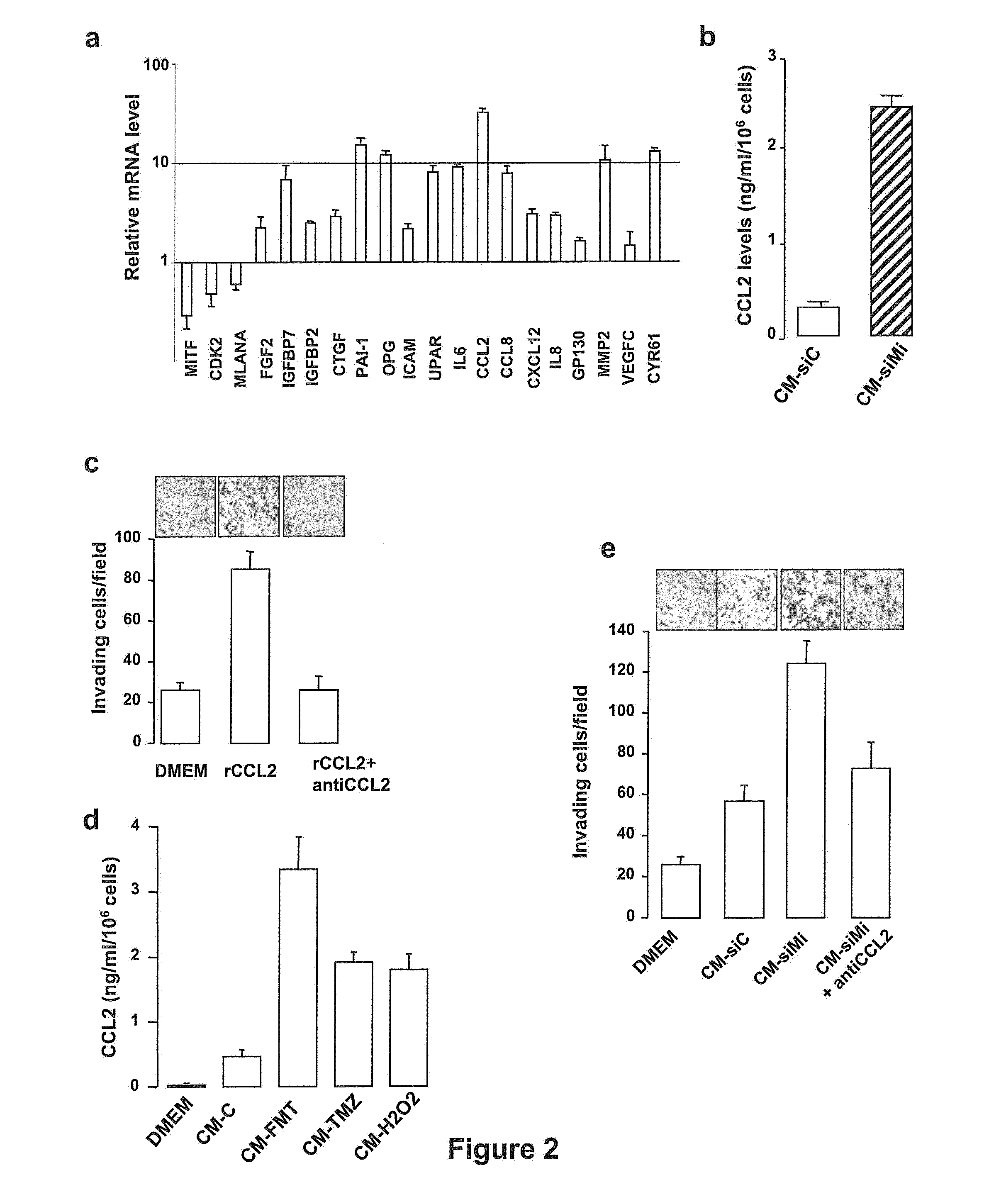 Compositions and methods for inhibiting tumor development caused by chemotherapy induced senescence