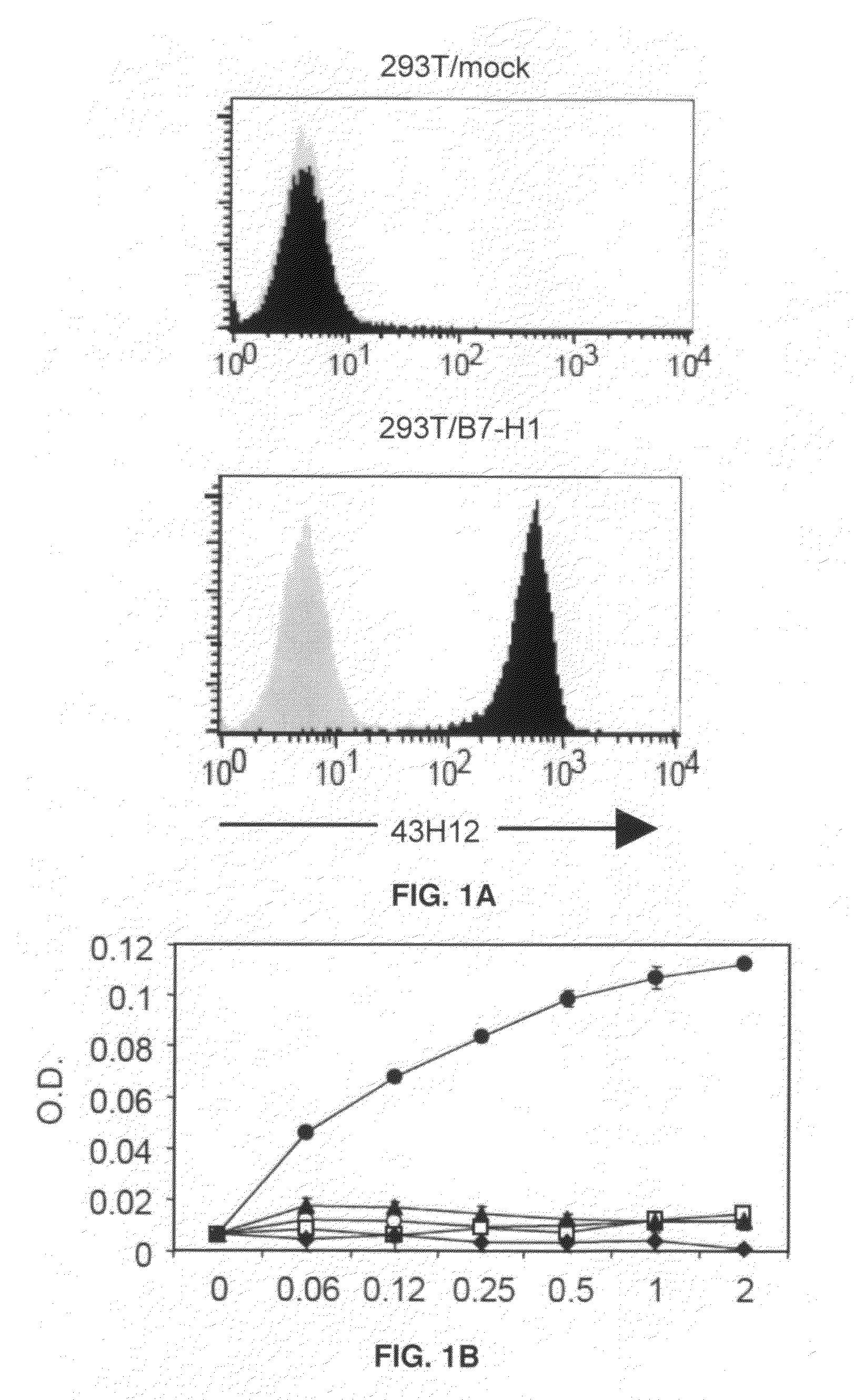 Inhibition of B7-H1/CD80 interaction and uses thereof