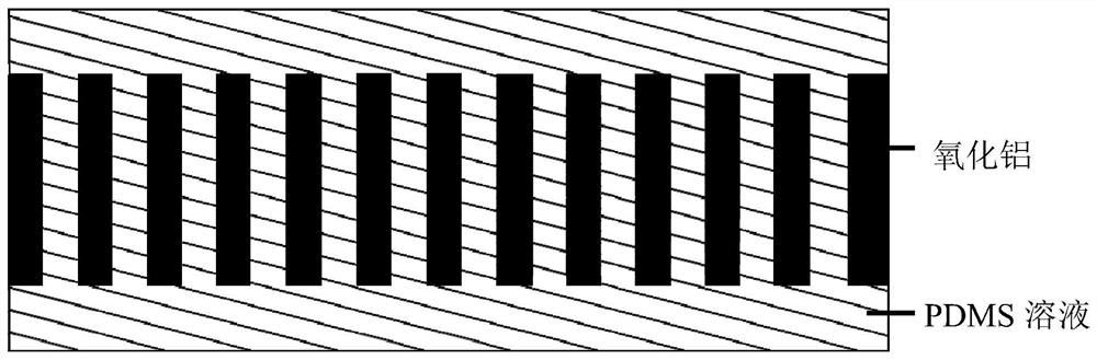 Preparation method and application of PDMS and AAO double-layer embedded template for polymer film patterning