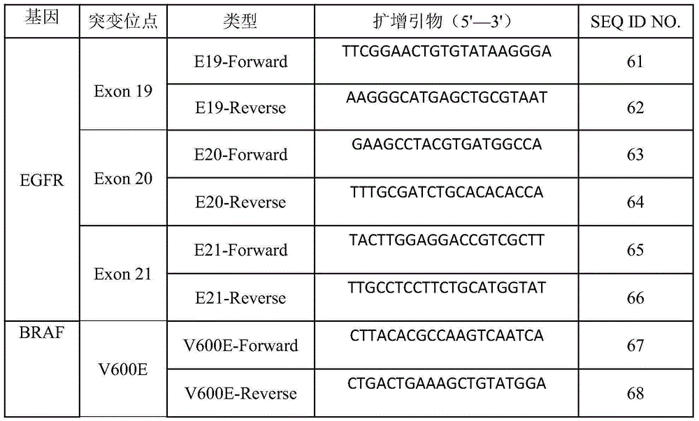 DNA label sequence, sequencing library construction method and kit