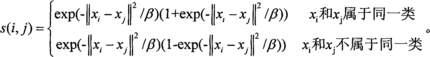 Local projection preserving method facing identification and having statistical noncorrelation