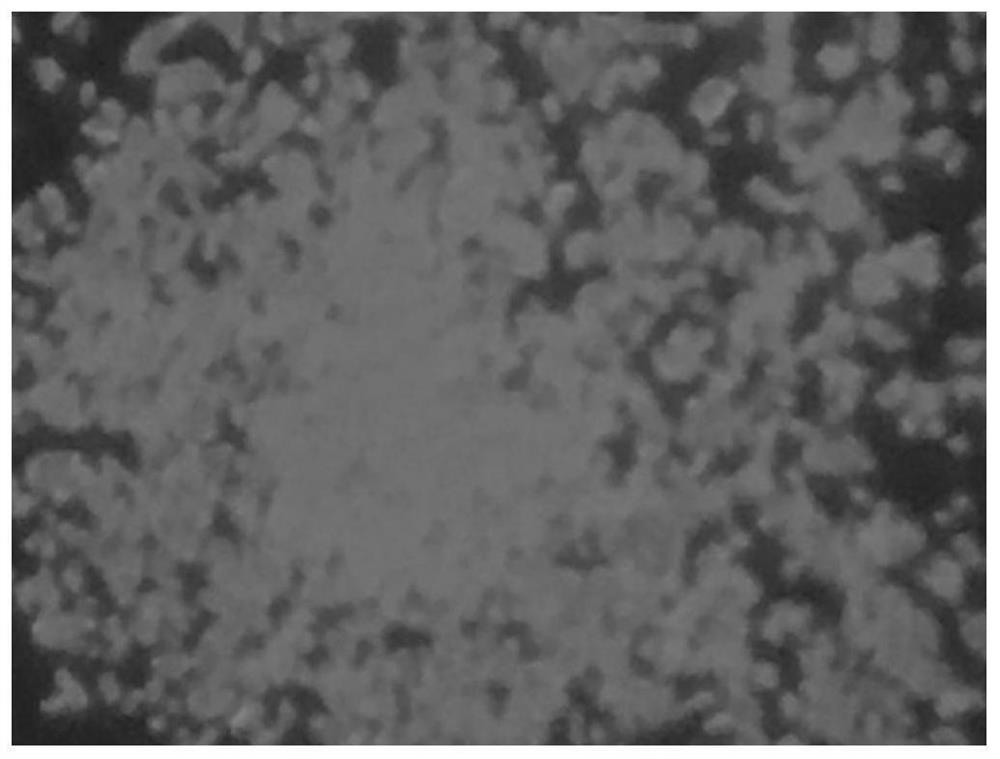 A chain structure rare earth europium (iii) coordination polymer and its preparation method and application