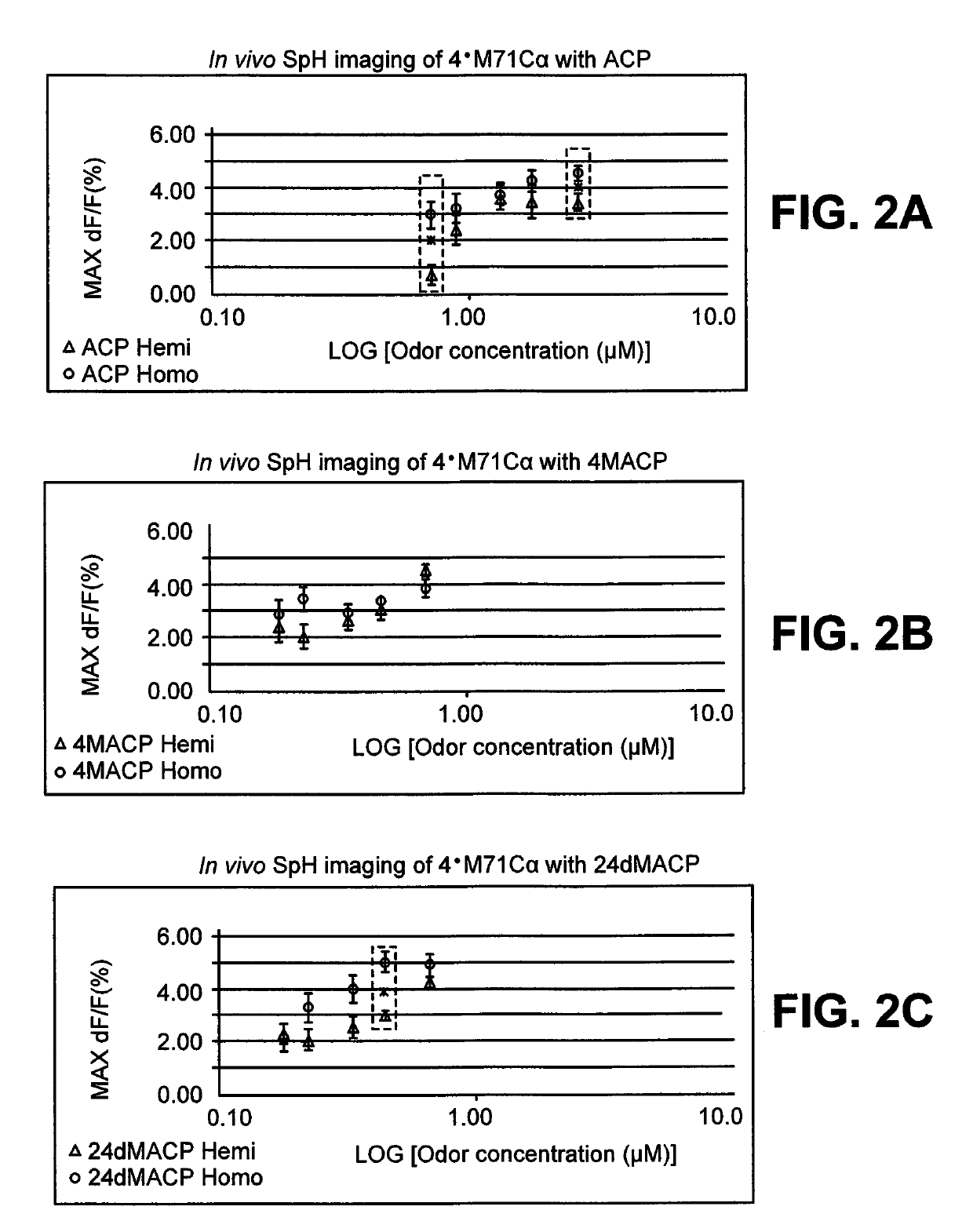 DNA sequence that increases odorant receptor representation in the olfactory system