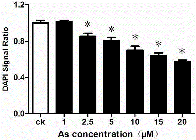 Method for detecting reactive oxygen content in living cells through DAPI fluorescent dye