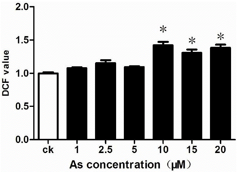 Method for detecting reactive oxygen content in living cells through DAPI fluorescent dye