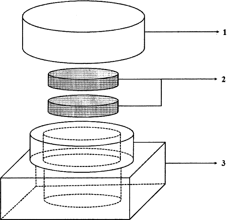 Cryopreservation in situ apparatus and method for adherent cell three-dimensional culture