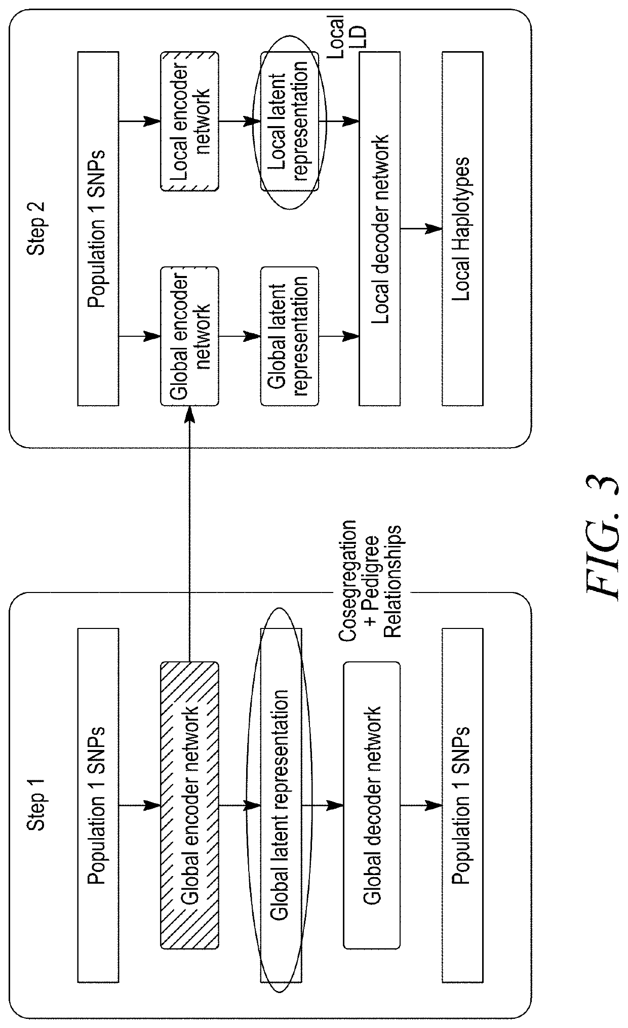 Methods and compositions for imputing or predicting genotype or phenotype