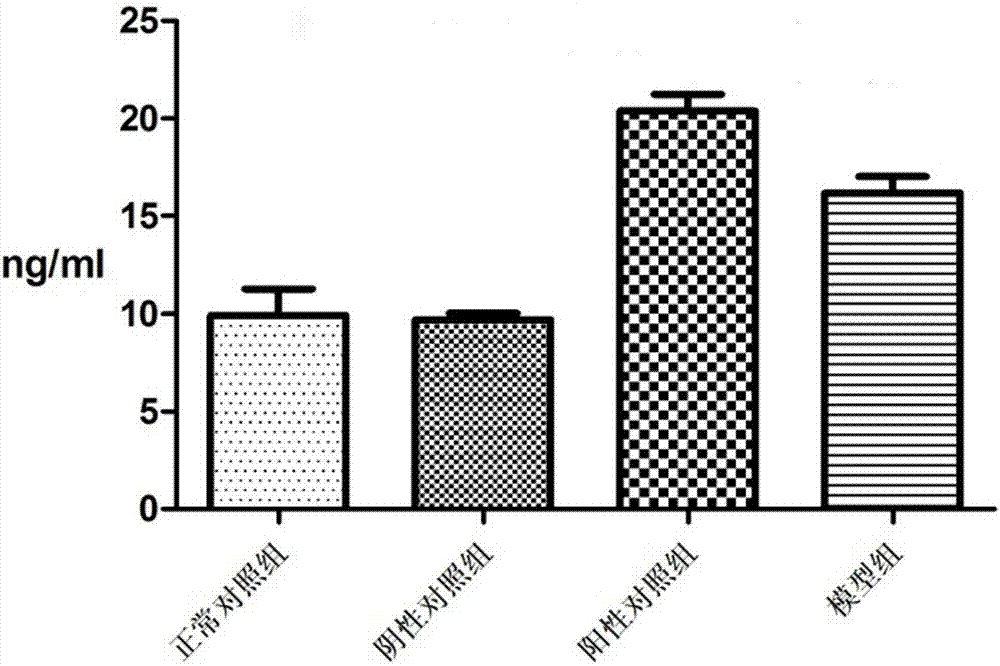 Application of exogenous MPA and hMG in preparing animal model drugs