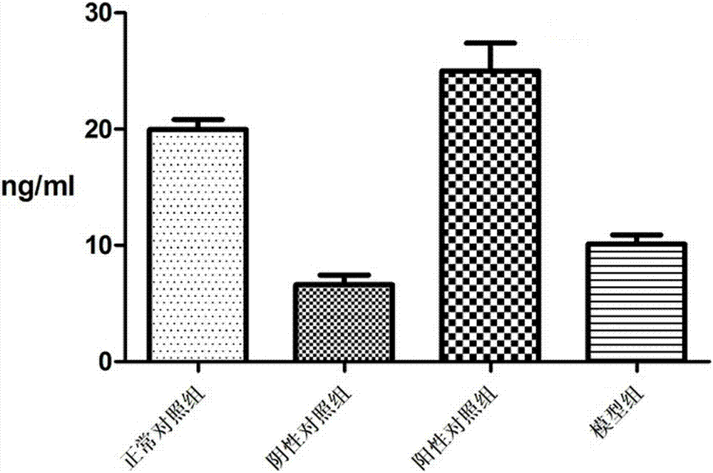 Application of exogenous MPA and hMG in preparing animal model drugs