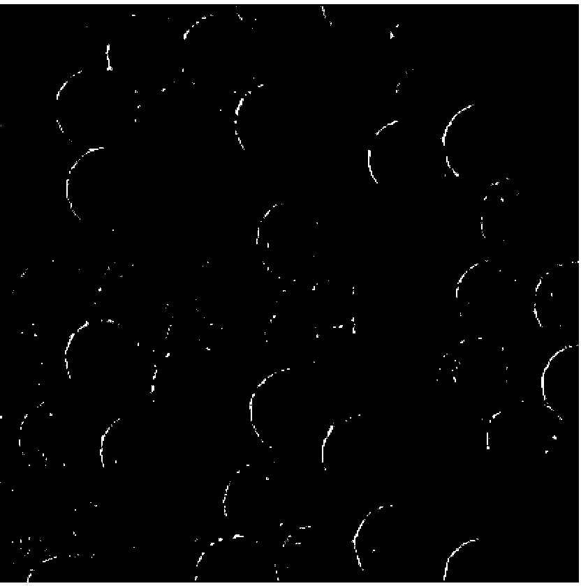 Method for preparing functional modified hollow mesoporous or core/shell mesoporous silicon dioxide nanometer granules