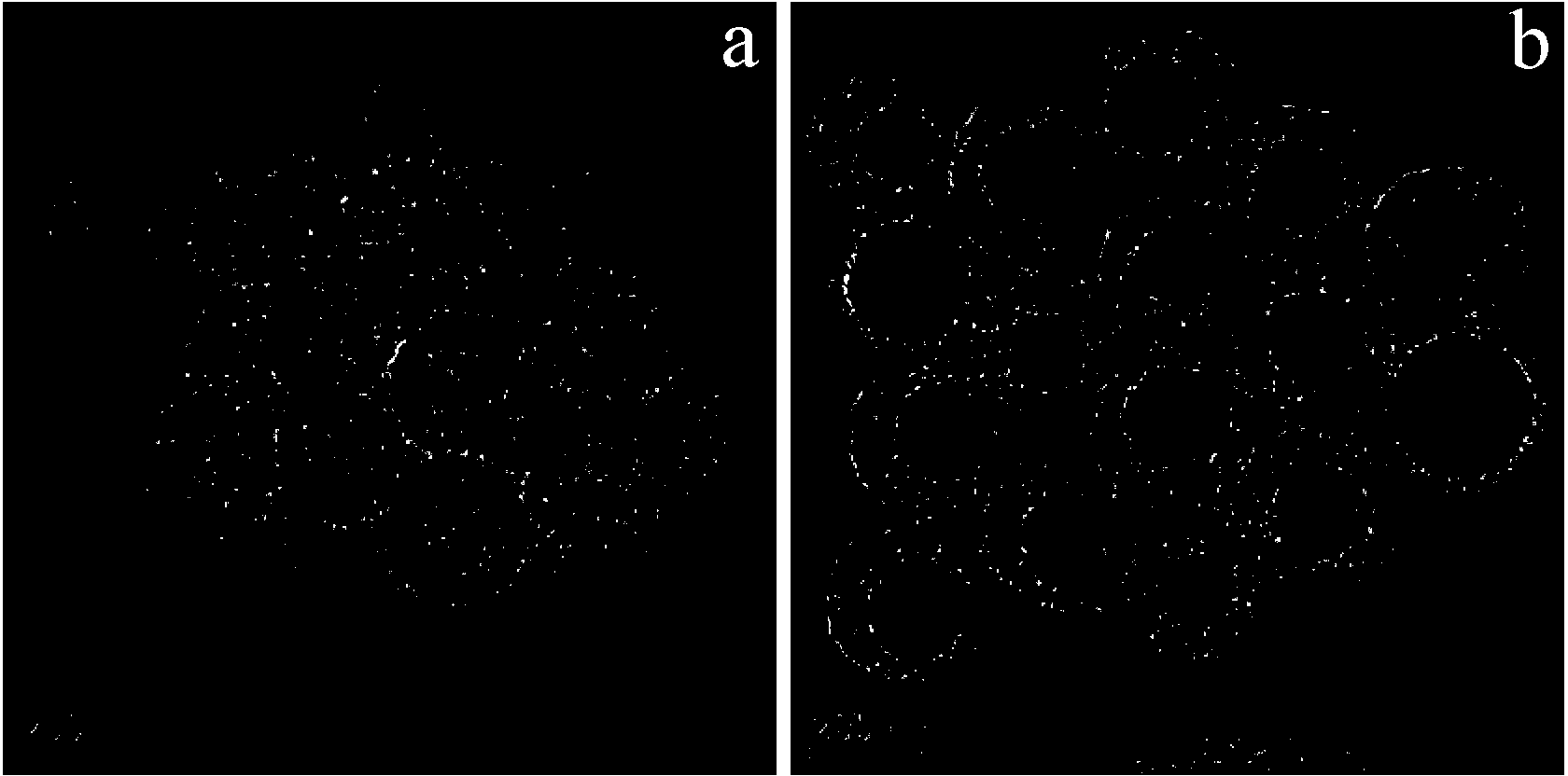 Method for preparing functional modified hollow mesoporous or core/shell mesoporous silicon dioxide nanometer granules