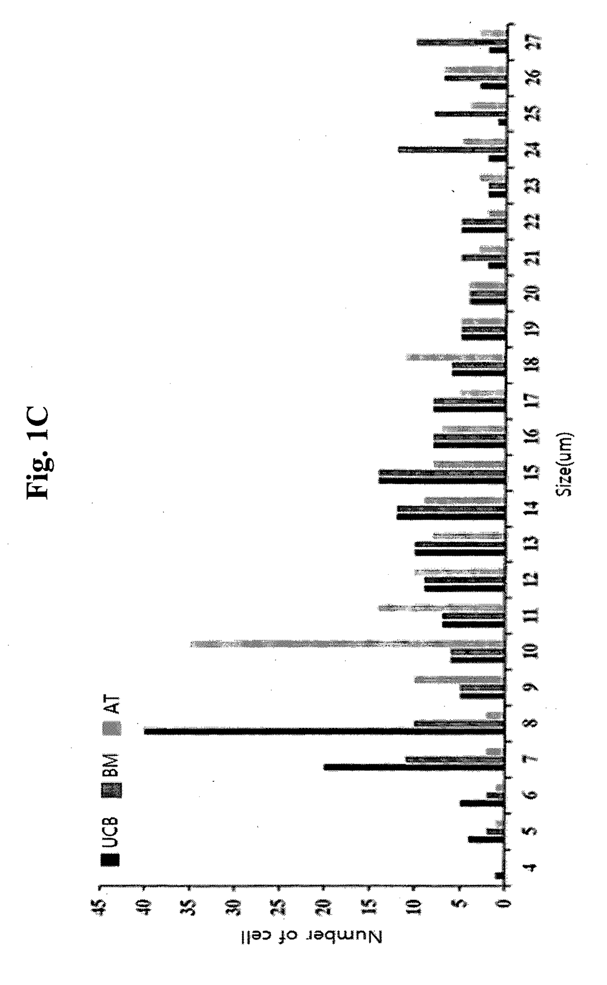 Pharmaceutical composition for the prevention or treatment of a pulmonary disorder comprising mesenchymal stem cells having improved proliferation and differentiation capacity