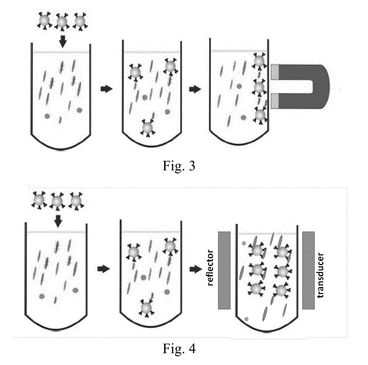 Cell Therapy Processes Utilizing Acoustophoresis