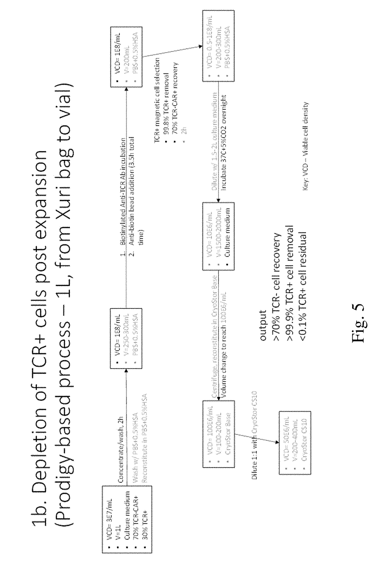 Cell Therapy Processes Utilizing Acoustophoresis