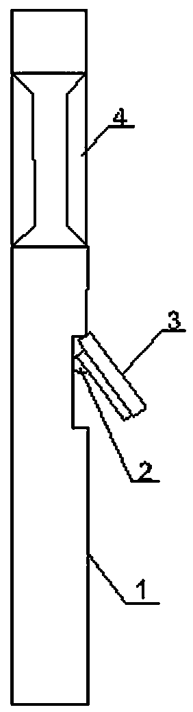 Garden lamp with projection function and arrangement method of the projection lamp