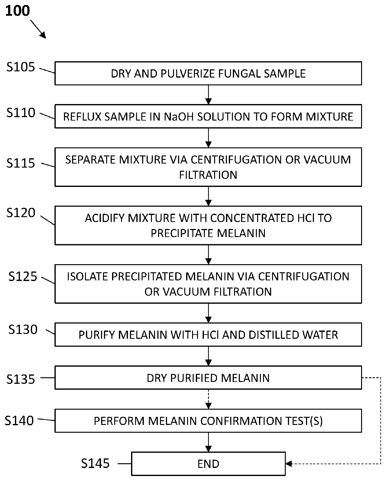 Methods for extraction of melanin from fungal species