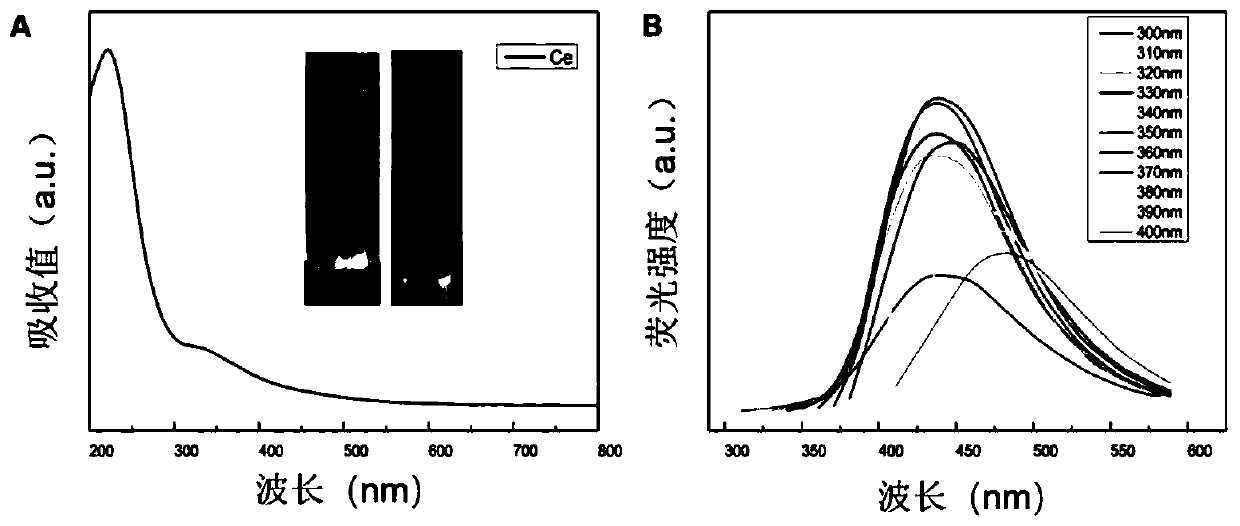 Antioxidant Ce-doped CQDs (carbon quantum dots) as well as preparation method and application thereof