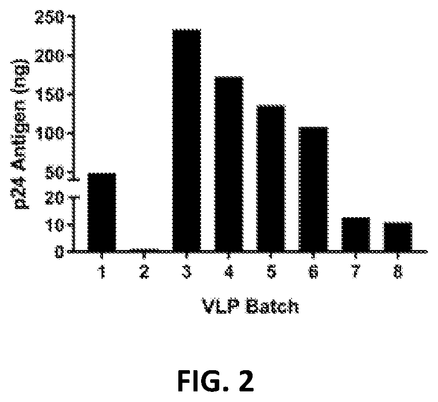 Virus-like particles and methods of use thereof
