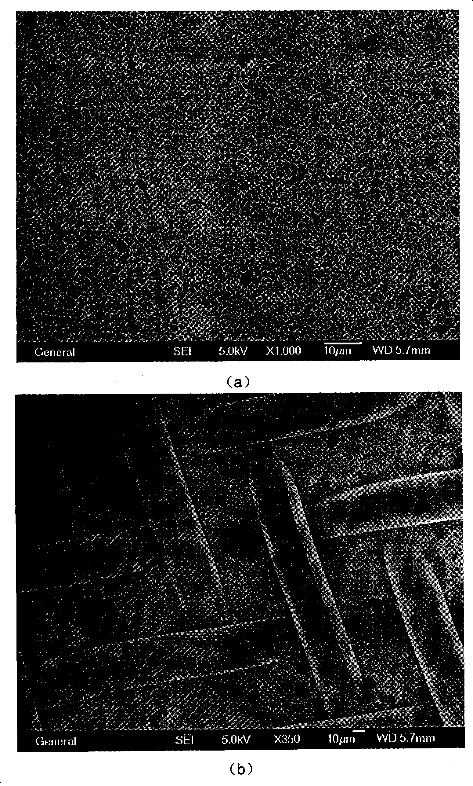 Secondary growth preparation method of X type molecular sieve film on stainless steel metal net
