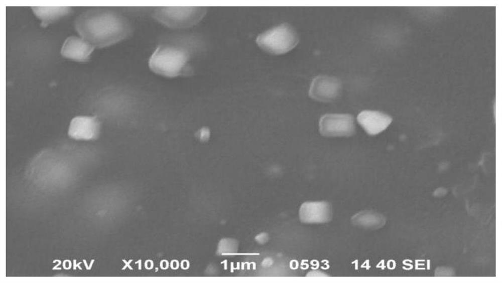 Preparation method of ultralow-smoke algal polysaccharide material