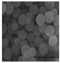 Catalyst for preparing C2-oxygenates through hydrogenation of carbon monoxide as well as preparation method and application thereof