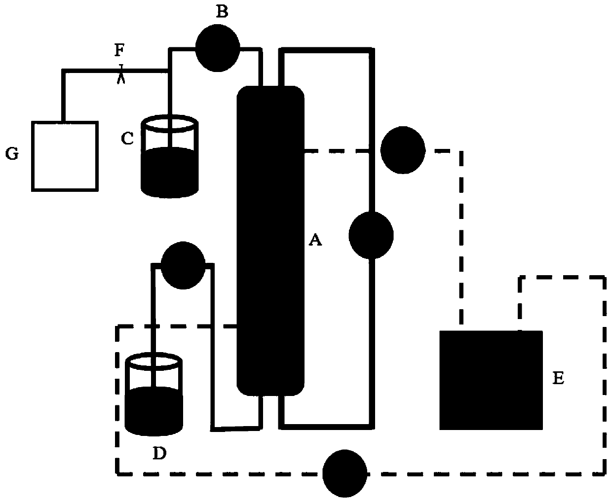 A method for continuously synthesizing geranyl butyrate with enzyme catalysis in circulating fluidized bed