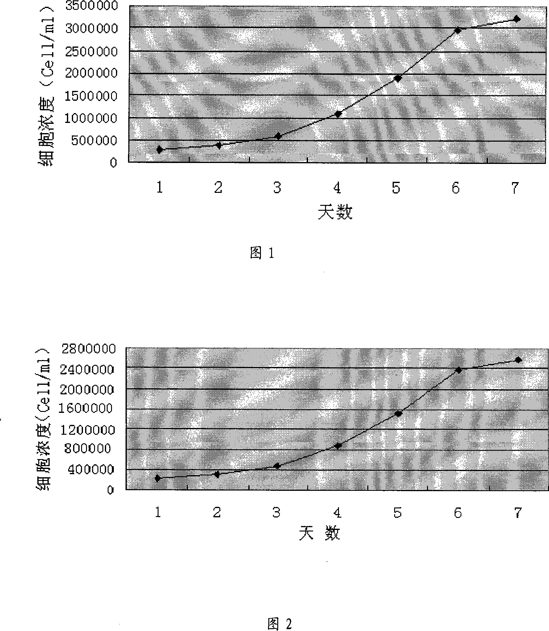 Gonad cell amplification culture medium of Chinese hamster and uses thereof