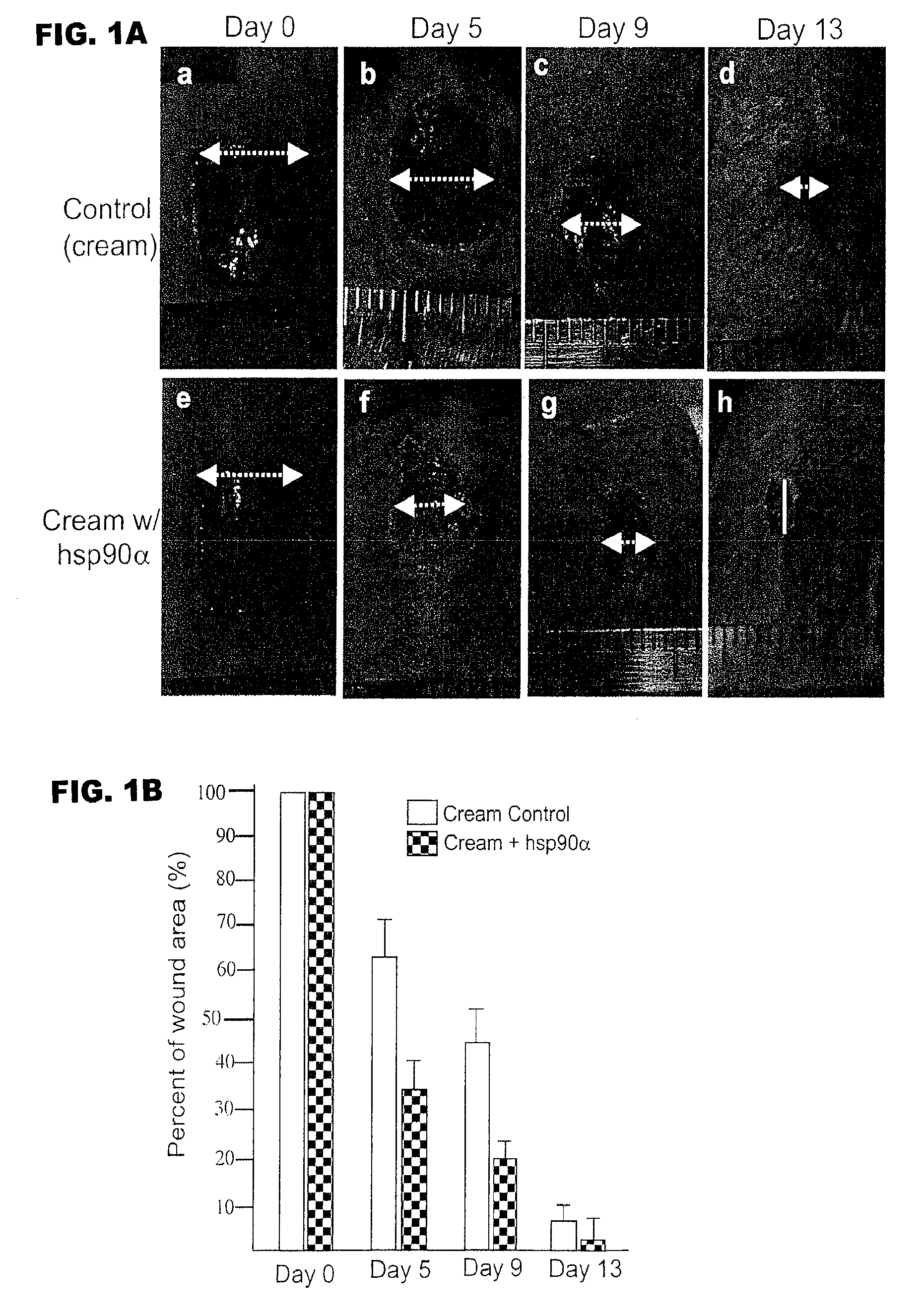 Skin wound healing compositions and methods of use thereof