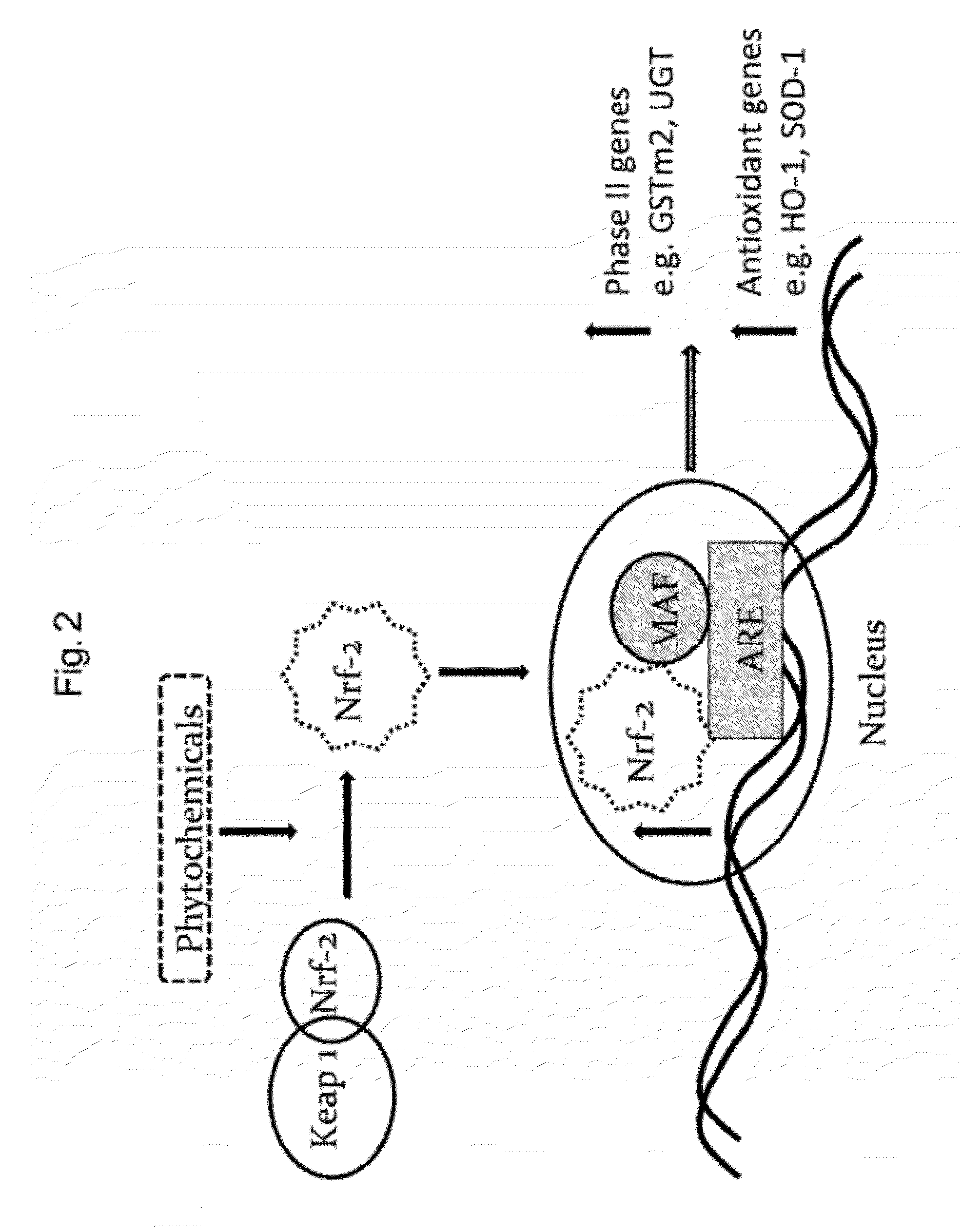 Compositions and methods for epigenetic modification of nucleic acid sequences