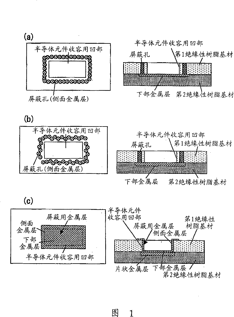 Multilayer printed wiring plate, and method for fabricating the same