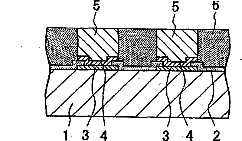 Multilayer printed wiring plate, and method for fabricating the same