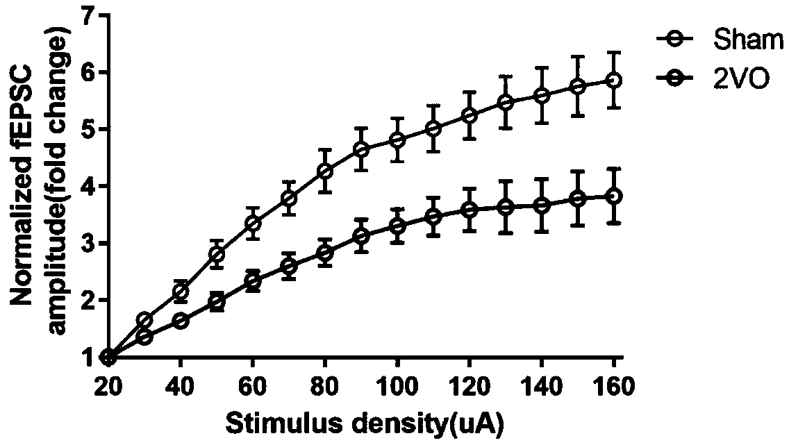 Micro non-coding RNA antagonist and use thereof