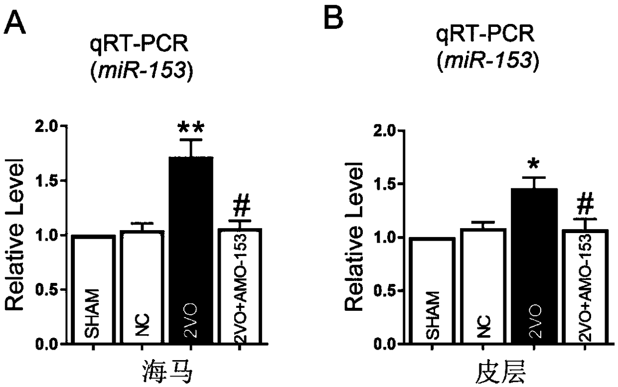 Micro non-coding RNA antagonist and use thereof