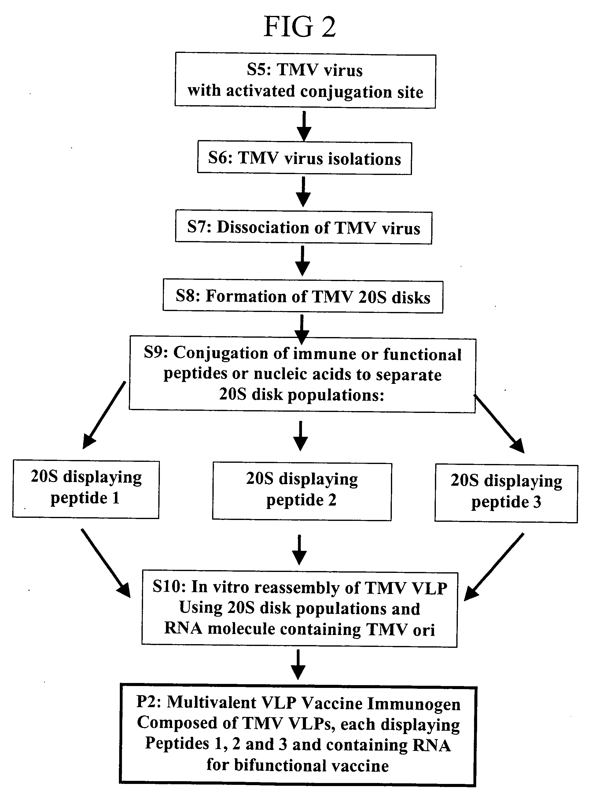 Flexible vaccine assembly and vaccine delivery platform