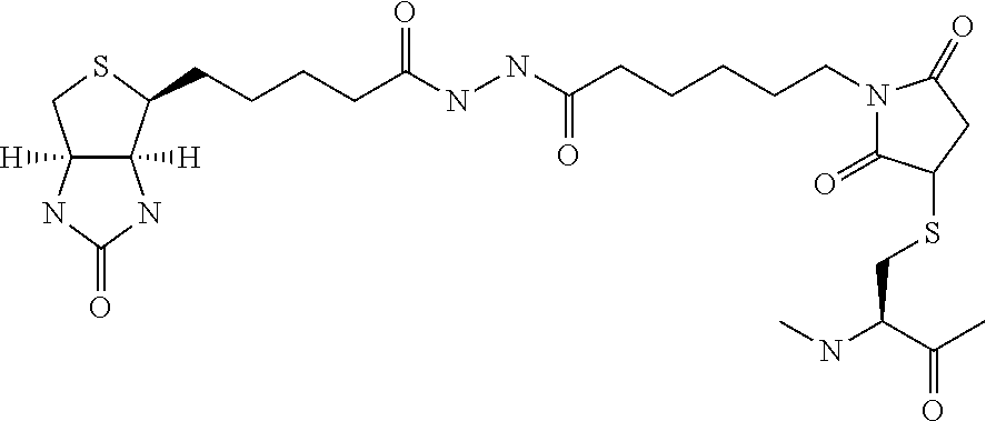 Amylin analogues