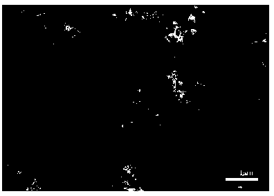 Preparation method based on ptaufe/c composite hydrogen evolution catalyst in sulfuric acid electrolyte