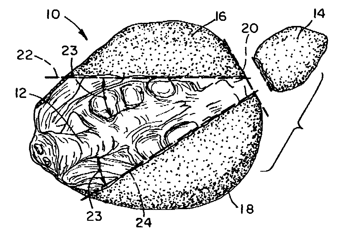 Method of making a food product from the back of a bird and the product produced in accordance with the method