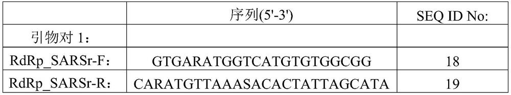 Detection method and kit for novel coronavirus (SARS-CoV-2)