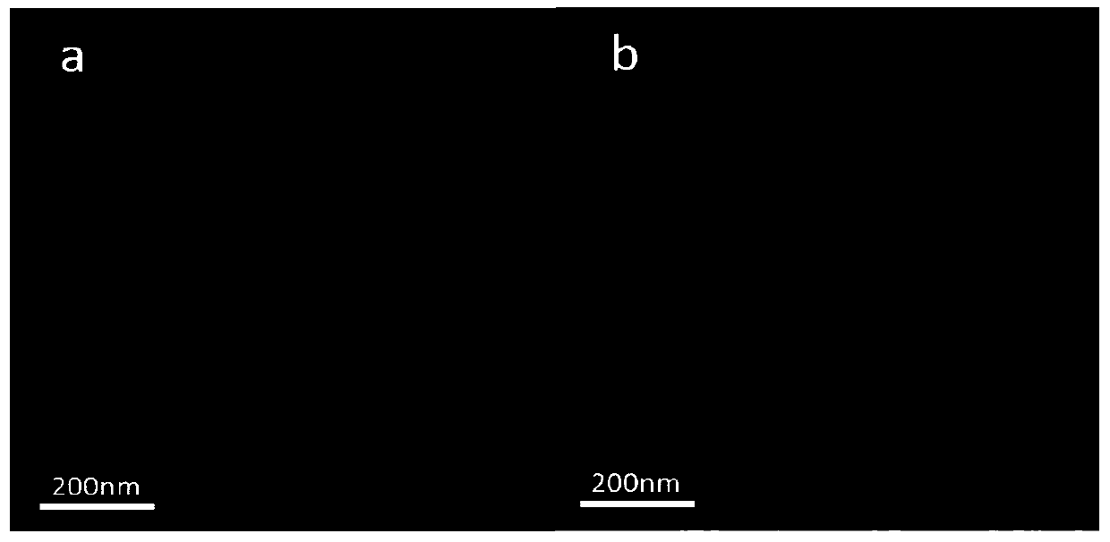 Method for preparing micro-mesopore XAD-2 by low temperature plasma