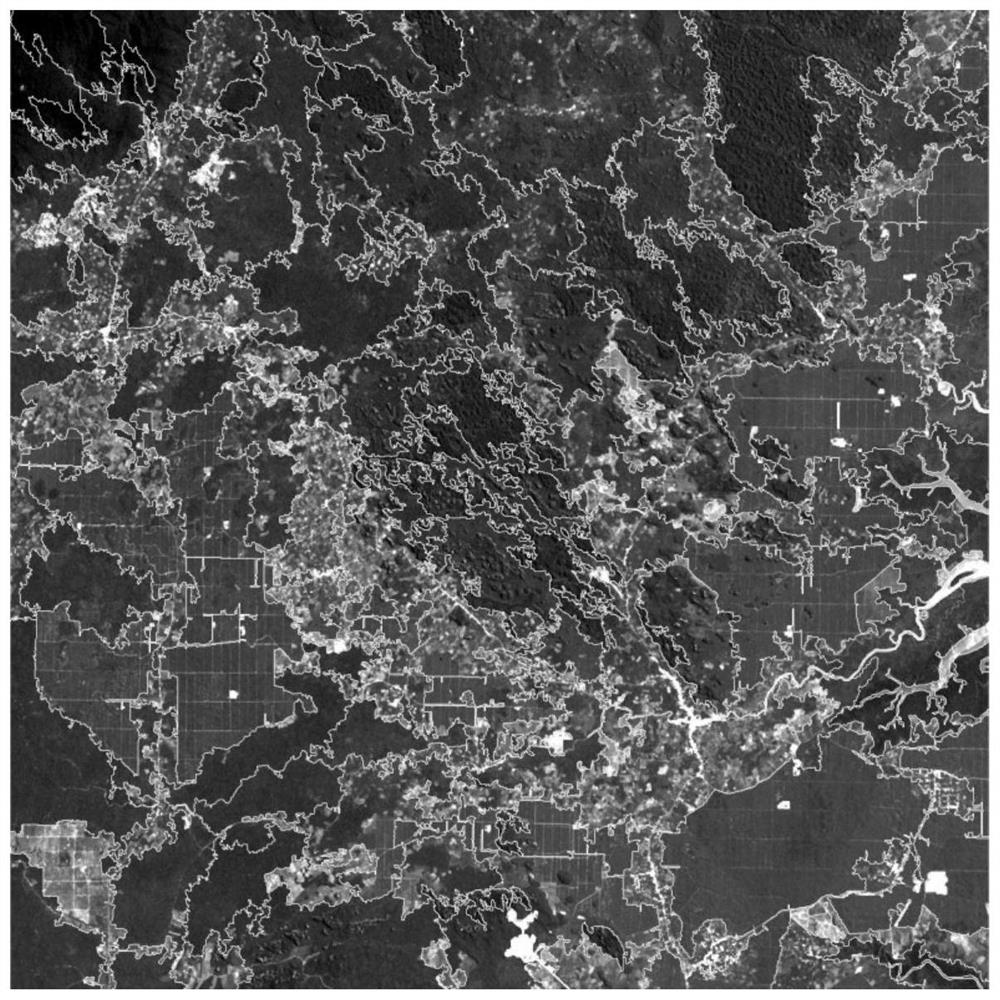 A remote sensing extraction method for oil palm forest