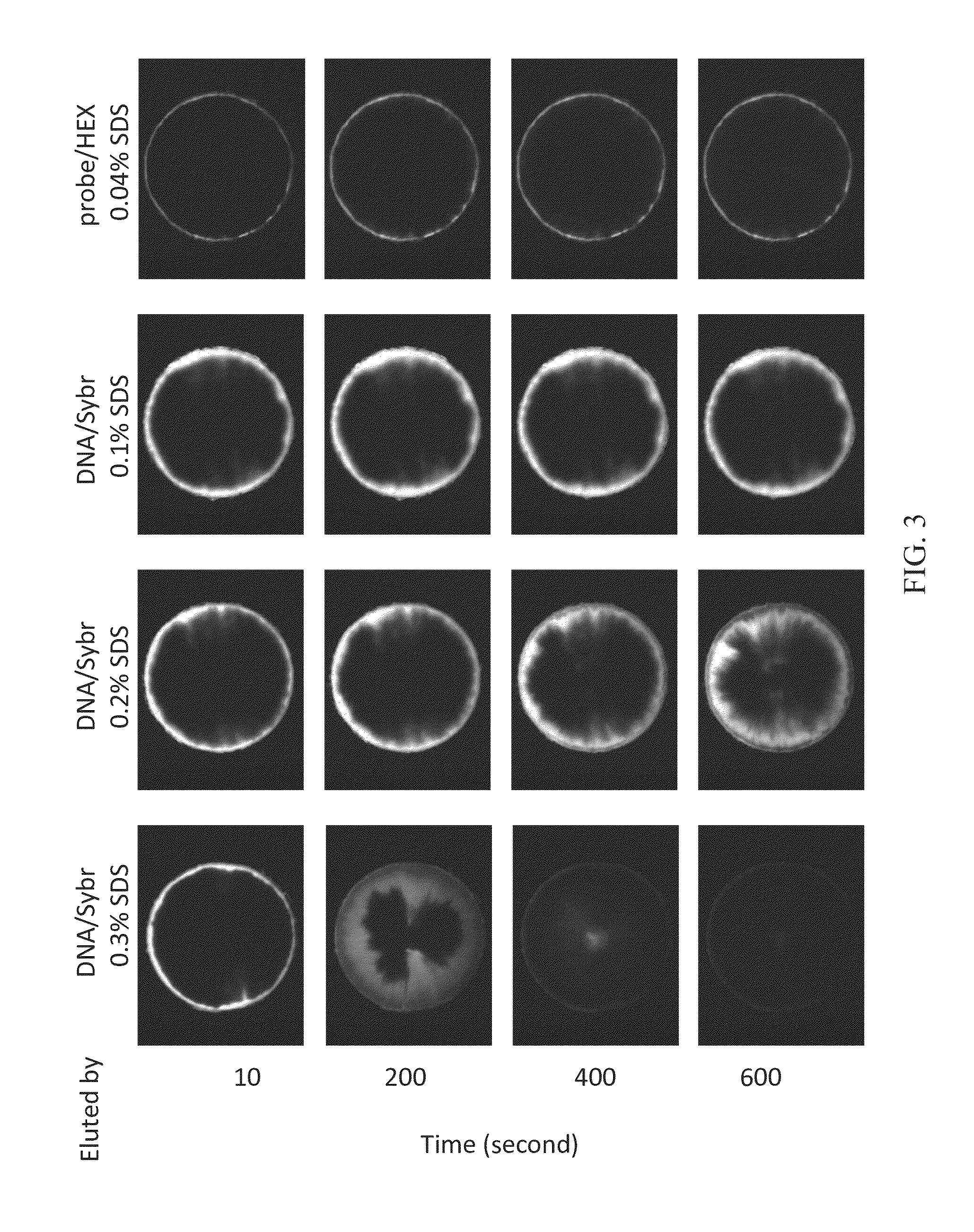Method of using microfluidic chip for nucleic acid hybridization
