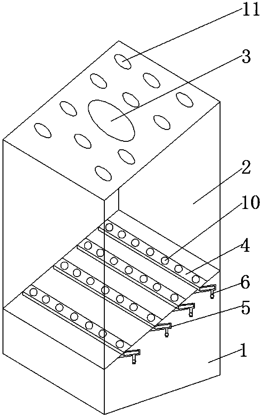 Display and cultivation rack for displaying crops for agricultural sightseeing tour